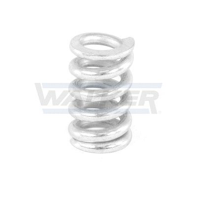 Spring, muffler
