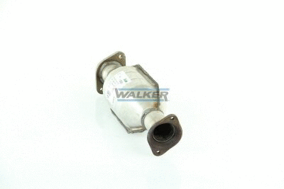 Catalytic Converter (20236)