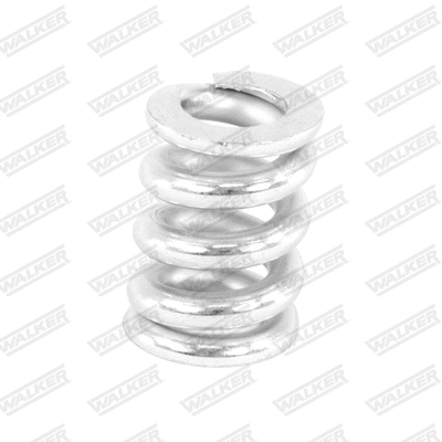 Spring, muffler