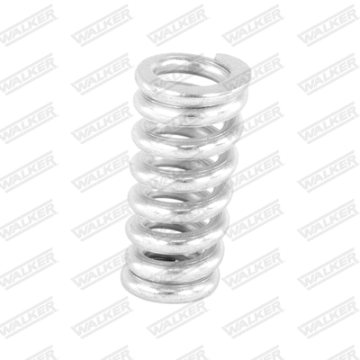 Spring, muffler