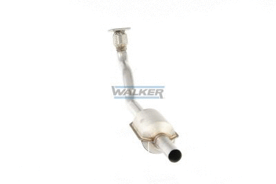 Catalytic Converter (20203)