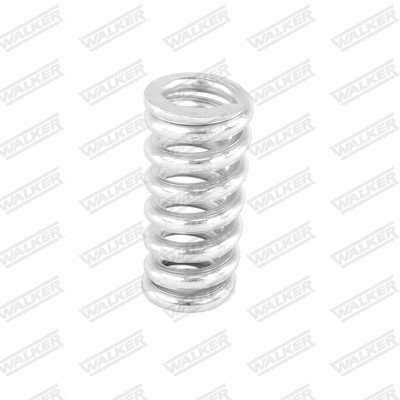 Spring, muffler