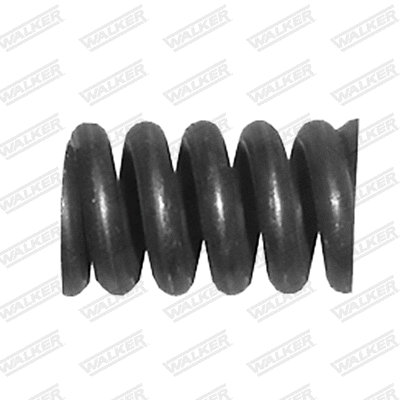 Spring, muffler