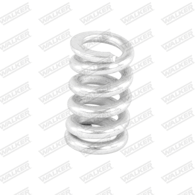 Spring, muffler