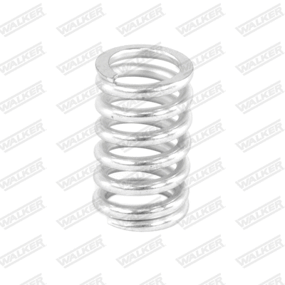 Spring, muffler