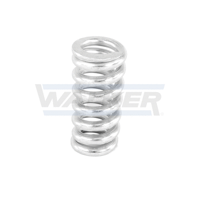 Spring, muffler