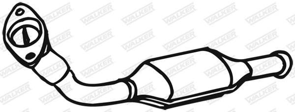 Catalytic Converter (20313)