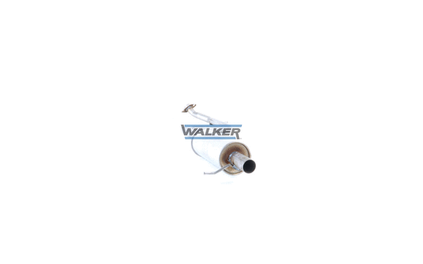 Centre Muffler