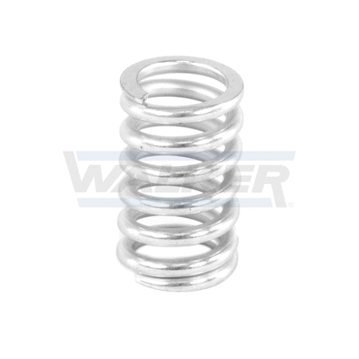 Spring, muffler