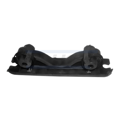 Mount, exhaust system