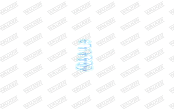 Spring, muffler