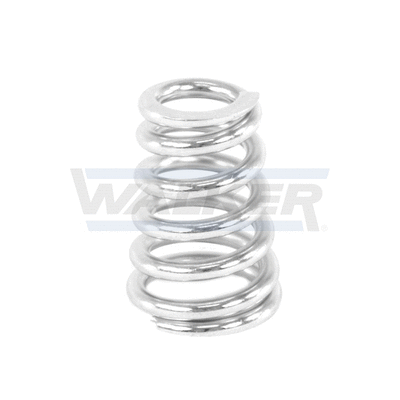 Spring, muffler