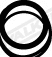 Gasket, exhaust pipe (80116)