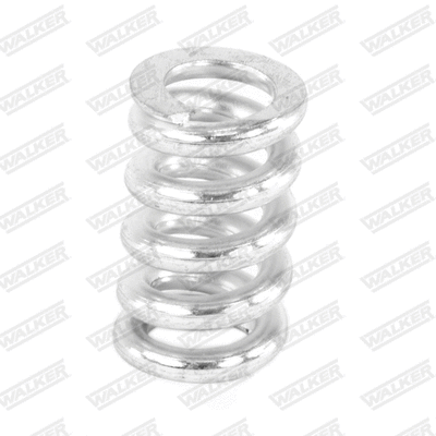 Spring, muffler