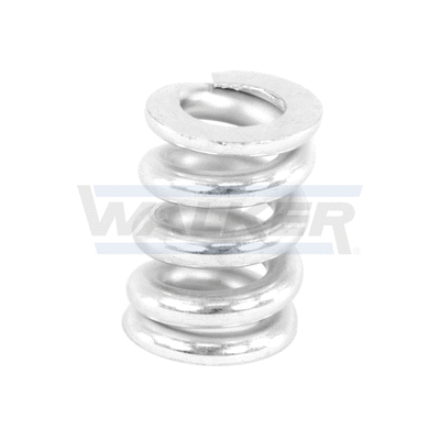 Spring, muffler