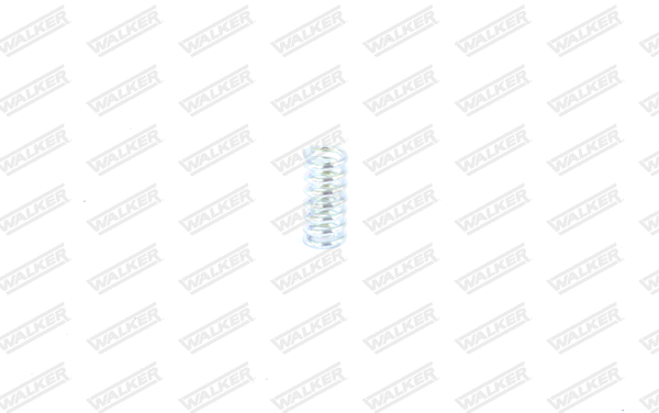 Spring, muffler
