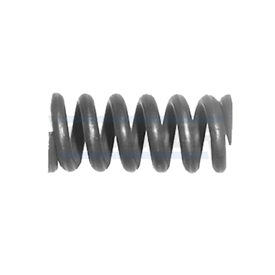 Spring, muffler