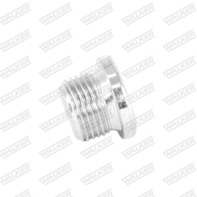 Bolt, exhaust system