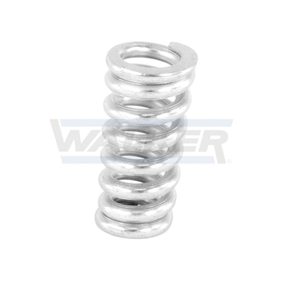Spring, muffler