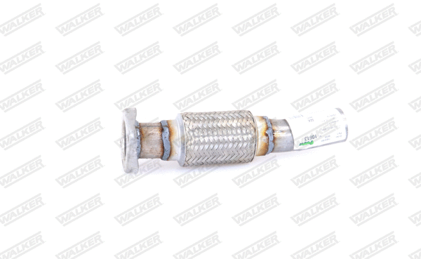 Exhaust Pipe