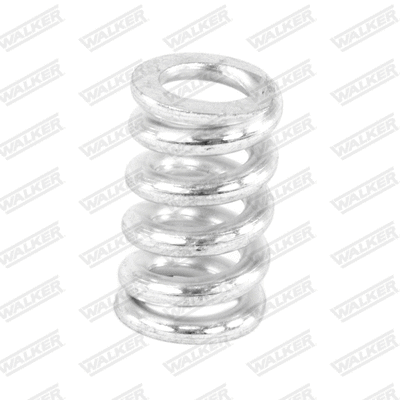 Spring, muffler