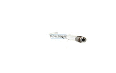Centre Muffler