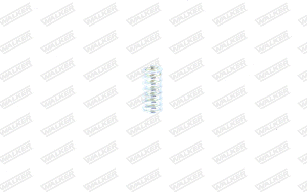 Spring, muffler