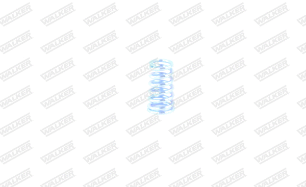 Spring, muffler