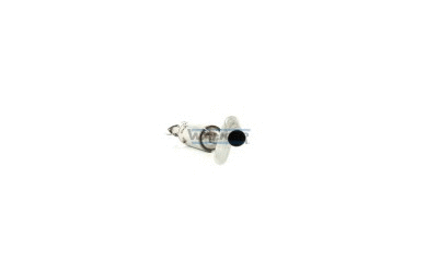 Soot/Particulate Filter, exhaust system (73019)