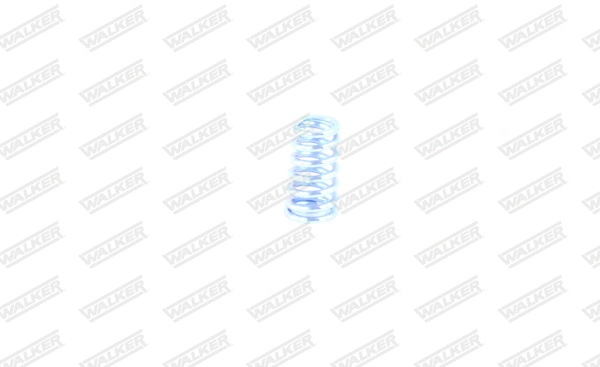 Spring, muffler