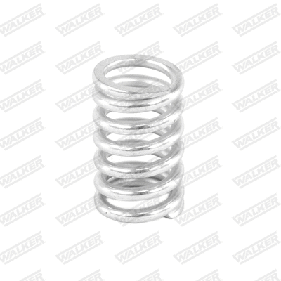 Spring, muffler
