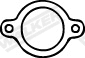 Gasket, exhaust pipe (80055)