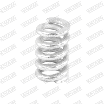 Spring, muffler