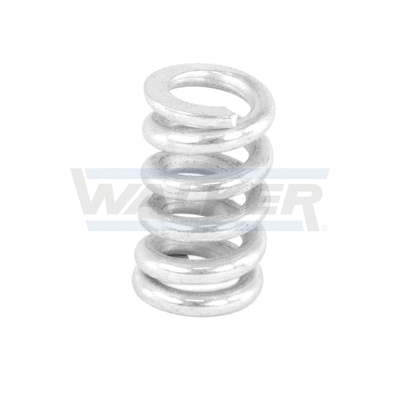 Spring, muffler