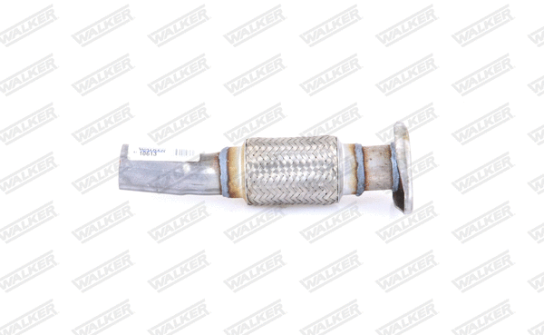 Exhaust Pipe