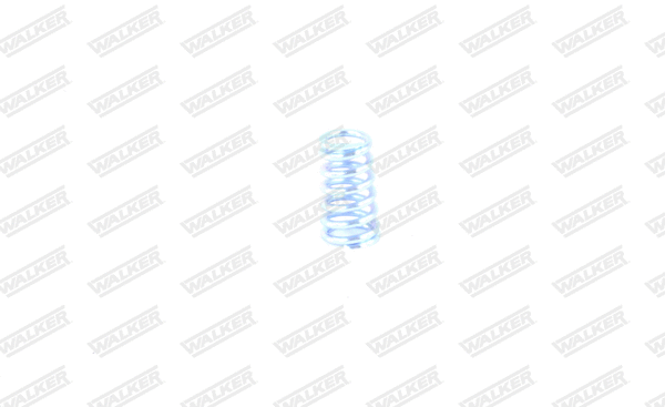 Spring, muffler