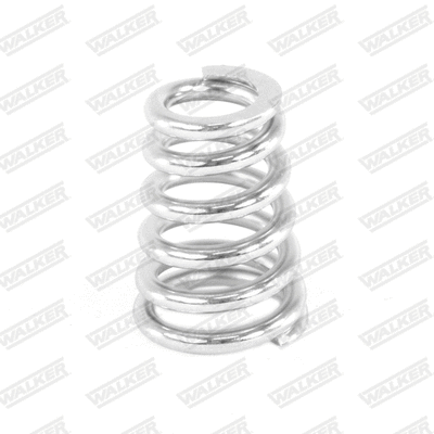 Spring, muffler