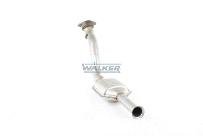 Catalytic Converter (20310)