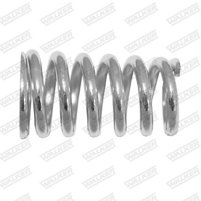 Spring, muffler