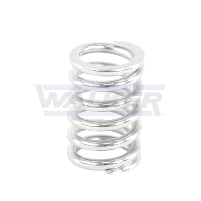 Spring, muffler