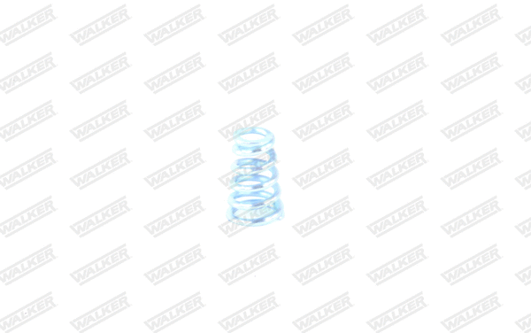 Spring, muffler
