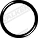 Gasket, exhaust pipe (80218)