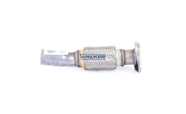 Exhaust Pipe