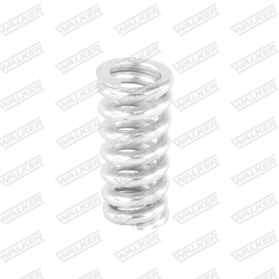 Spring, muffler