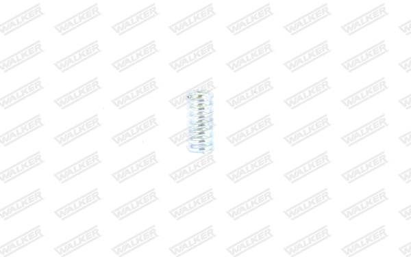 Spring, muffler