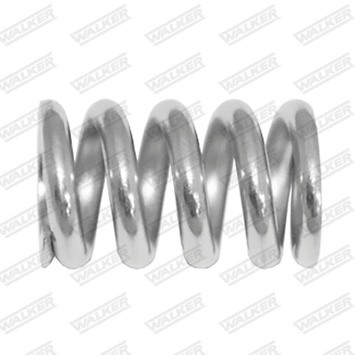Spring, muffler