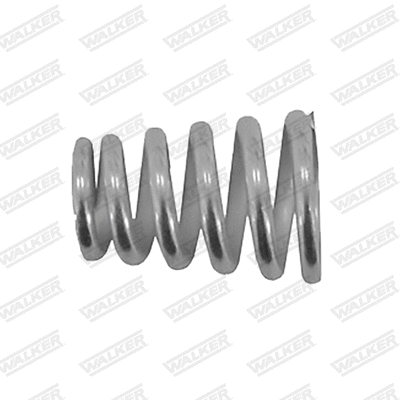 Spring, muffler