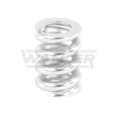 Spring, muffler