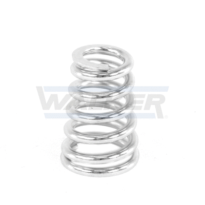 Spring, muffler