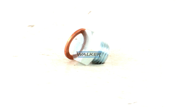Bolt, exhaust system
